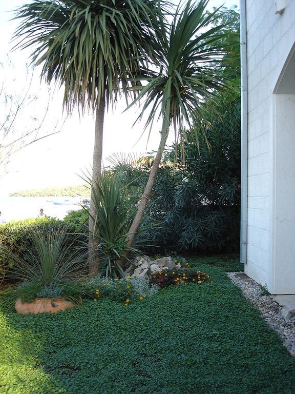 Apartments Olea Marina Εξωτερικό φωτογραφία